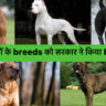 23 Dog Breeds Banned in India |यह कुत्तों के 23 breeds ban हुए भारत मैं जानिए