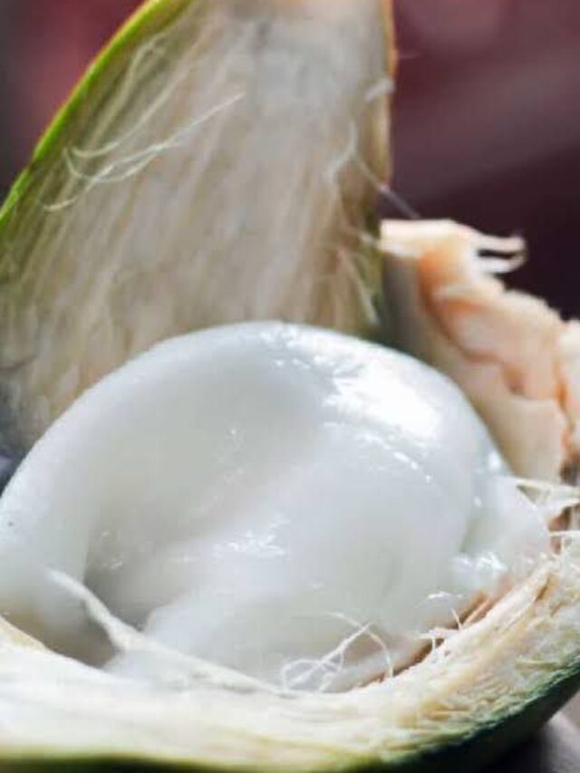 नारियल मलाई के फायदे देखकर चौक जाएंगे |Cocunut cream benefits